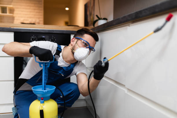 Best Pest Control Near Me  in Geistown, PA