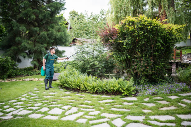 Best Wasp Removal Services  in Geistown, PA