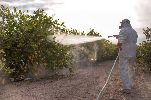 Pest Control Cost in Geistown, PA