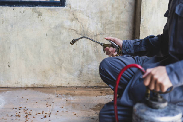 Best Termite Control Services  in Geistown, PA